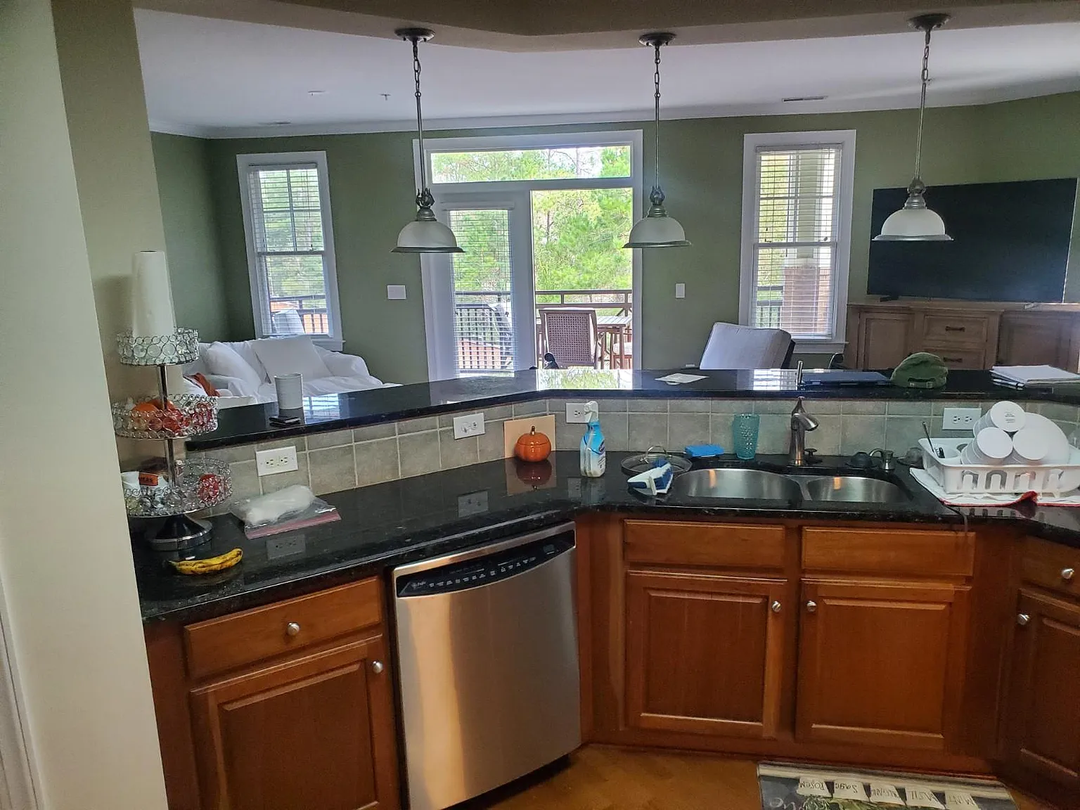 555 Grande Manor Ct — Photo 3
