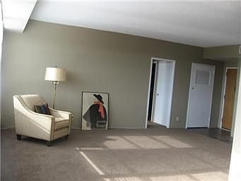4th image of 333 W Meyer Blvd APT 1015