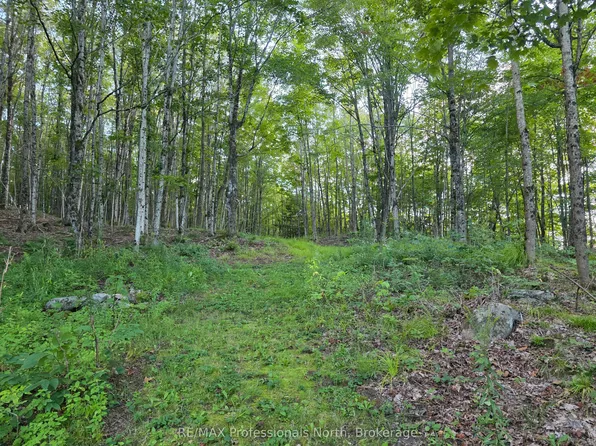 1026 Puffer Rd, Minden Hills, ON K0M 2K0