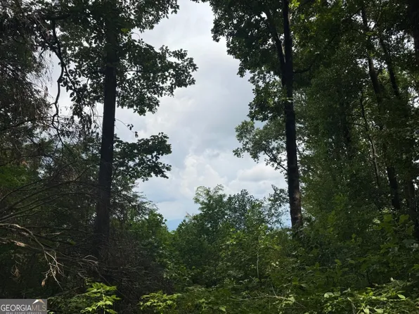 S Pineypur Road South Trl #24, Ellijay, GA 30536