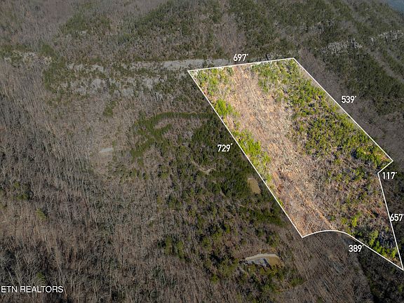 4th image of Scout Way