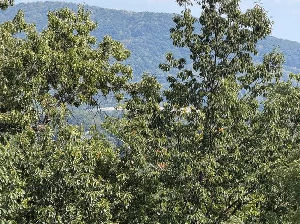 2428 Coachman Dr, Roanoke, VA 24012