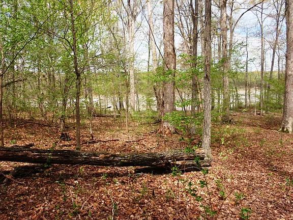 2nd image of 300 Hickory Hill Ln