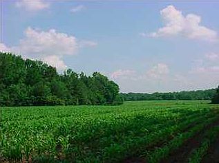 1st image of 0 County Road 2