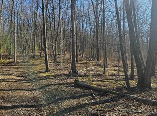 0 Piney Creek Rd, Clearville, PA 15535