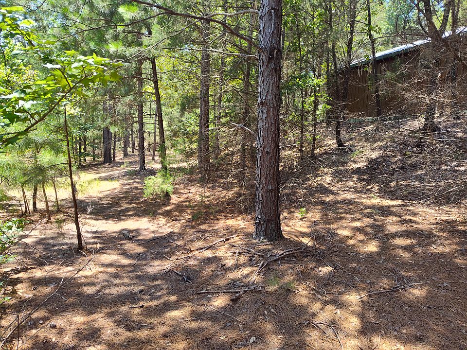 Private Firepit Location Behind Cabin