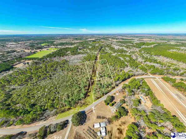 Flinn Rd, Manning, SC 29102