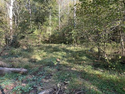 39454 Boston Rd, Reedsville, OH, 45772