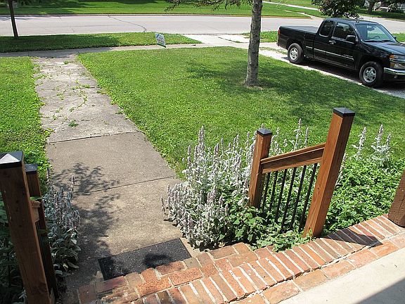 Front yard