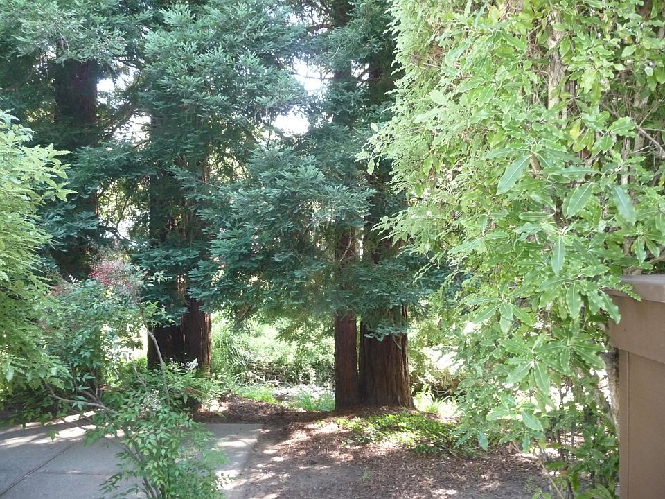1st image of 193 Miller Ave #3