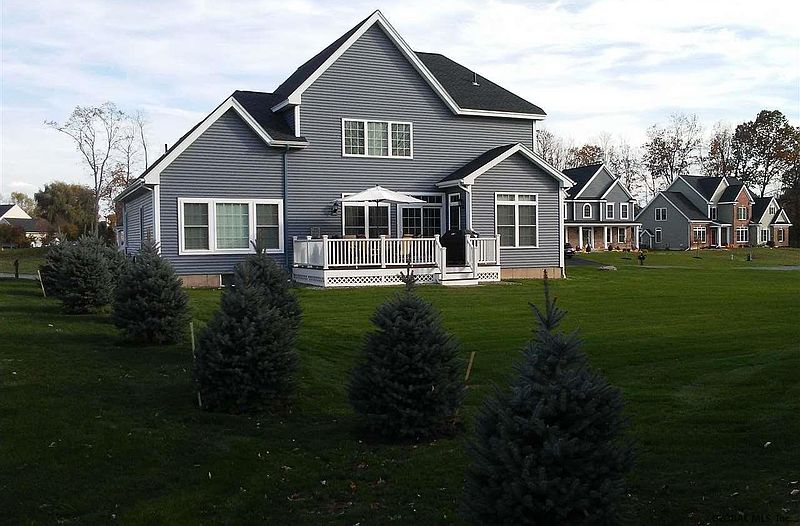 5th image of 48C FAIRWAY Avenue