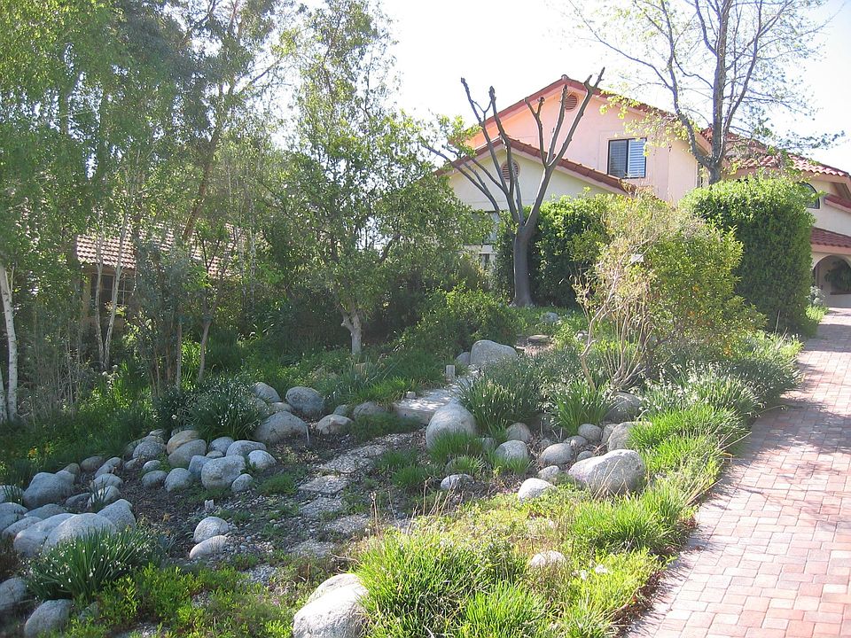 Front yard
