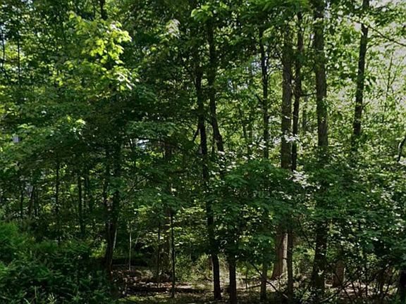 3rd image of LOT 132 Timber Hill Rd