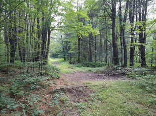 0 Echo Lake South Ln, Greene, NY 13778