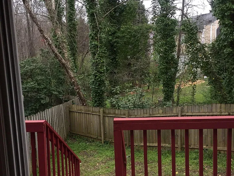 3811 Meadow Green Ct — Photo 16