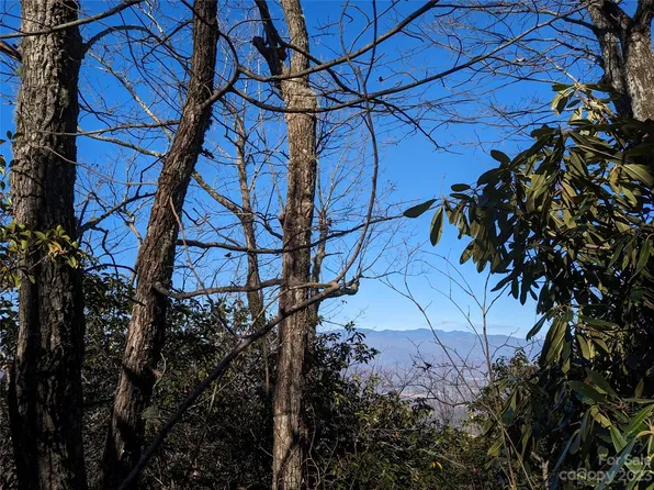 Wolf Pen Rd #922, Old Fort, NC 28762