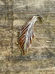 Rented by TheRealEstateCompany.com LLC