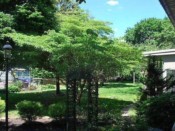 yard