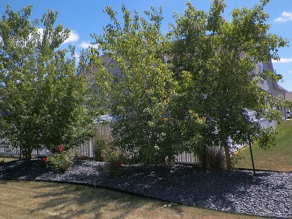 2nd image of 3446 Eagle Run Ln