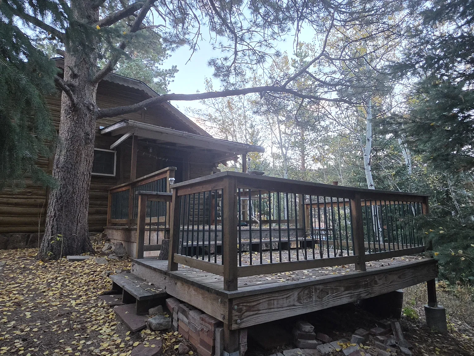 1 bed, 1.0 bath, 730 sqft, $1,800 — Photo 2