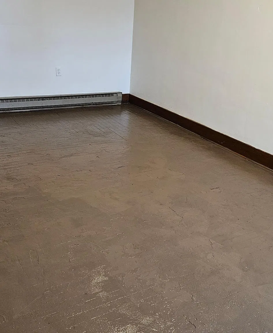 1 bed, $650 — Photo 4