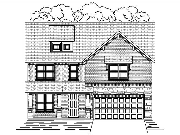 Teak with Elevation W