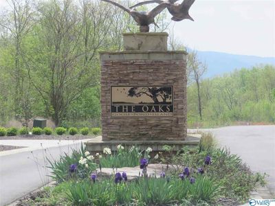 153 Red Stone Dr, Scottsboro, AL, 35769