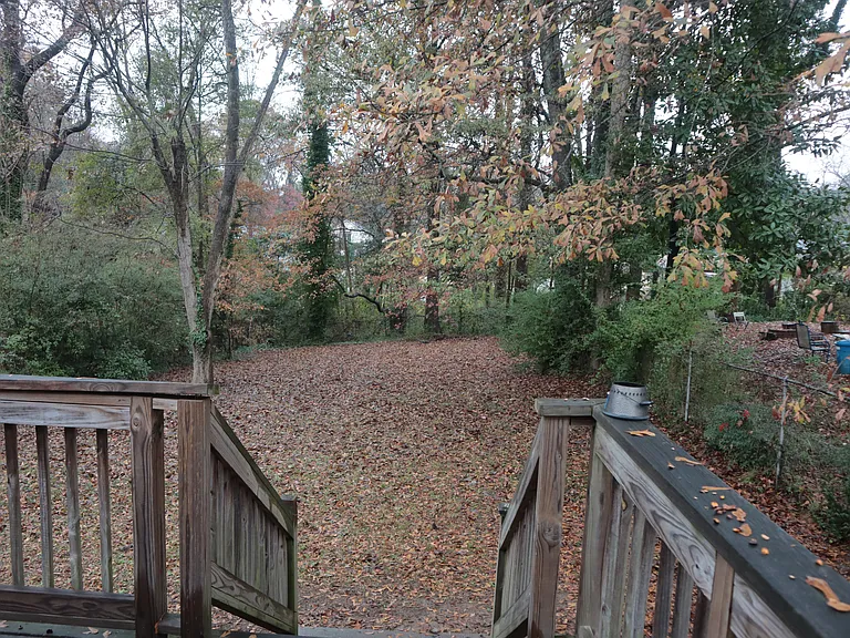 Deck/Backyard