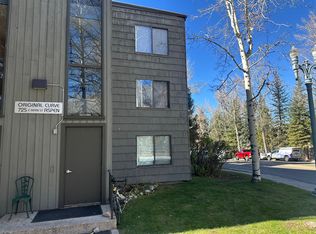 725 E Main St #207, Aspen, CO 81611