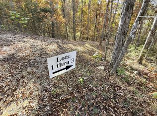 Tracts 1 3 Topaz Way, Parrottsville, TN 37843