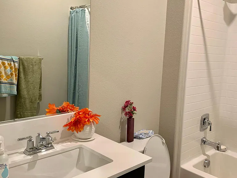 10854 Olivia Way — Photo 13