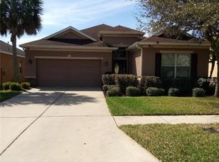 17315 Chelsea Downs Cir, Lithia, FL 33547