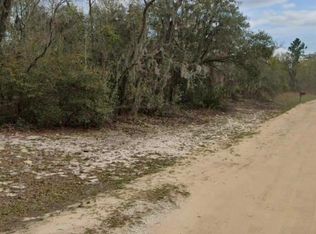 Unassigned Guy Ave, Interlachen, FL 32148