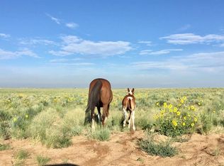 9209 Colorado Springs Rd, Blanca, CO 81123