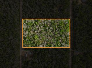 S Dorsey Dr, Baldwin, MI 49304