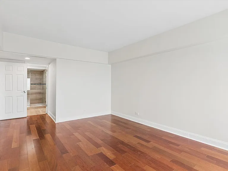175 E Delaware Pl #8304 — Photo 26