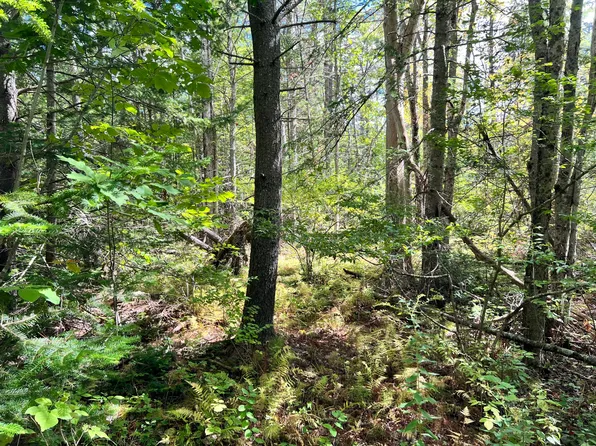 209AB E Brown's Point Road E, Bowdoinham, ME 04008