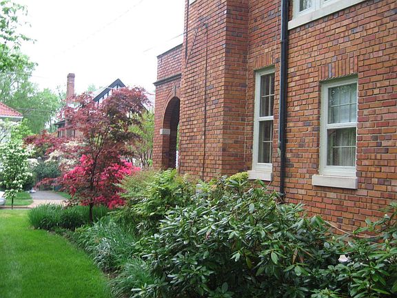 North side - yard