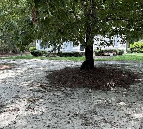 3rd image of 2321 Amelia Church Rd