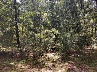 00 SW 114th St, Dunnellon, FL 34432