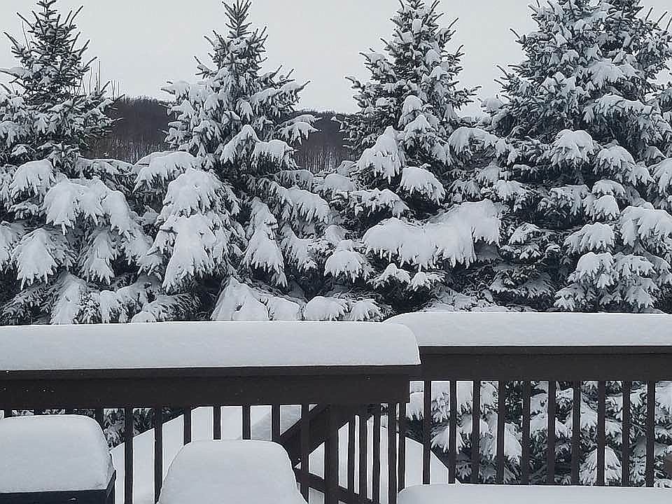 1st image of 5 Mango Dr