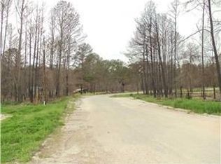 109 Alum Creek Dr, Paige, TX 78659