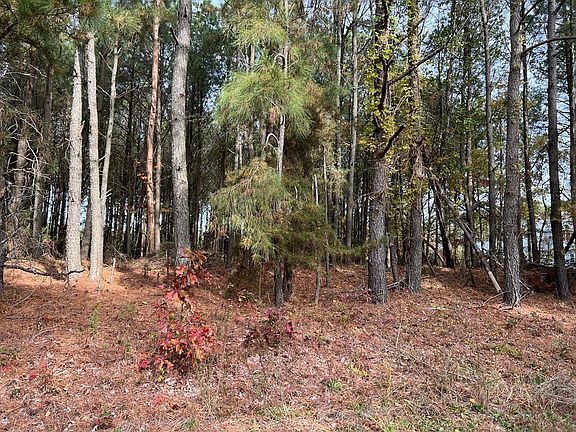 2nd image of 0 Butlers Bluff Dr