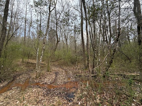 4th image of 0 Road 418