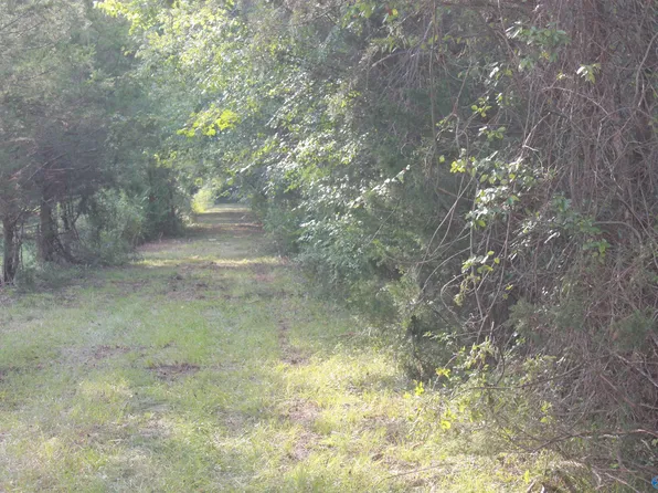 Culver Rd, Falkville, AL 35622