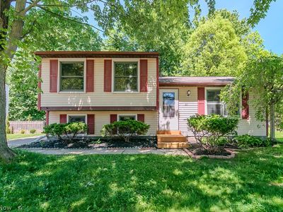615 Trailwood Dr, Painesville, OH, 44077