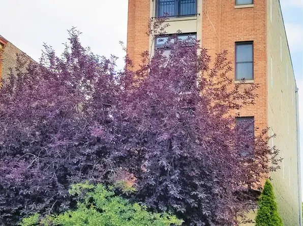 2226 W Monroe St APT 3, Chicago, IL 60612