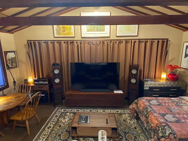 218 Pine Canyon Dr — Photo 11
