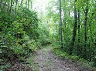 Galunlati Rd, Bryson city, NC 28713