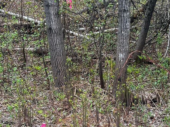 5th image of 0 Callahan Rd